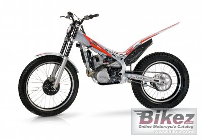 2010 Beta Evo 300 4T photo